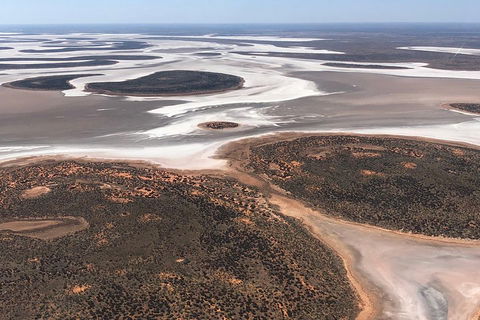 Helicopter Scenic: Lizard Safari - Pubs Sydney 5