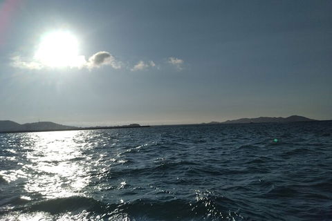 Townsville Small Group Early Morning Sailing Cruise Boat Tour Charter Hire - Pubs Sydney 4