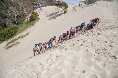 6-Day Tasmanian Explorer Adventure Tour From Hobart - Pubs Sydney 2