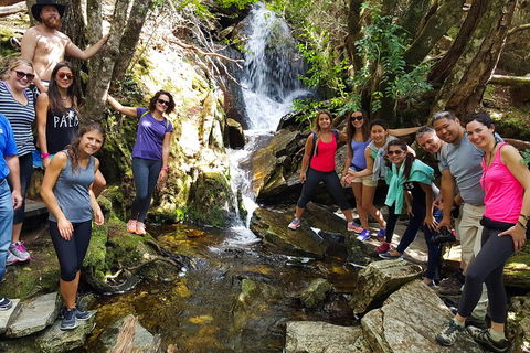 7-Day Super Value Tour Of Tasmania: Explore Tasmania's West And East Coasts - Pubs Sydney 2