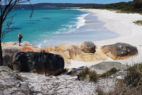 2-Day Tas East Coast Escape Tour Including Bay Of Fires, Wineglass Bay & Devils - Pubs Sydney 4