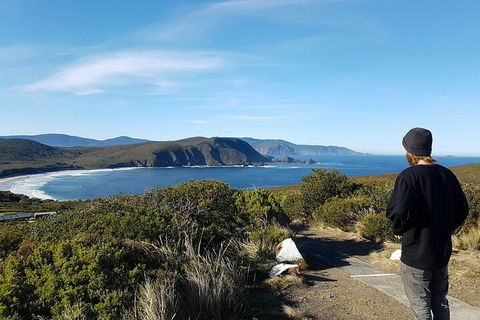 4-Day Fabulous Tasmania Tour: Wineglass Bay, Port Arthur, Devils & Bruny Island - Pubs Sydney 0