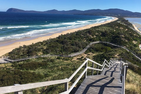 4-Day Fabulous Tasmania Tour: Wineglass Bay, Port Arthur, Devils & Bruny Island - Pubs Sydney 5