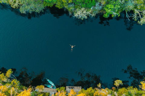 Cruise 'n' Canoe To Australia's Everglades - Pubs Sydney 2