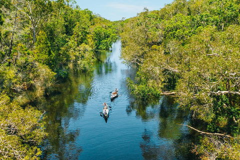 Cruise 'n' Canoe To Australia's Everglades - Pubs Sydney 3