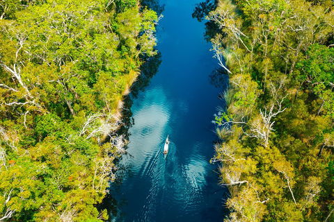 Cruise 'n' Canoe To Australia's Everglades - Pubs Sydney 4