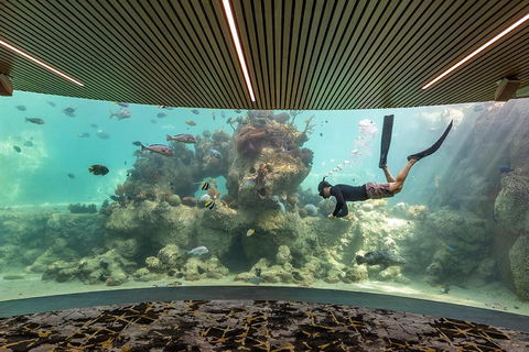 Whitehaven Beach And Daydream Island Cruise - Pubs Sydney 4