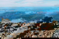 Mount Wellington Ultimate Experience Tour from Hobart