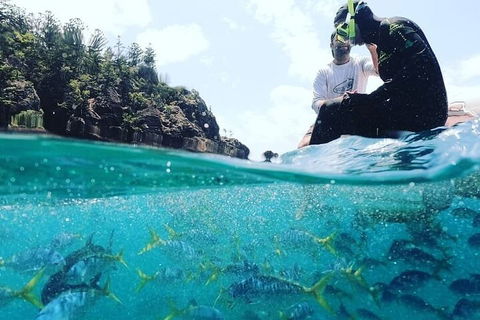 2 Night Small Group Whitsundays Sailing Adventure Aboard Mandrake - Pubs Sydney 5