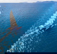2-Night Whitsunday Islands Sailing Adventure on Trimaran Avatar - Pubs Sydney