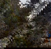 kunanyi / Mt. Wellington Guided Hiking Tour - Pubs Sydney
