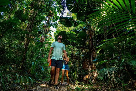 Full Day Daintree Rainforest And Mossman Gorge Tour - Pubs Sydney 0