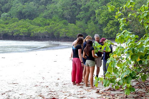 Full Day Daintree Rainforest And Mossman Gorge Tour - Pubs Sydney 2