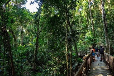 Full Day Daintree Rainforest And Mossman Gorge Tour - Pubs Sydney 5