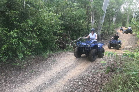 Cairns ATV Adventure Tour And Morning Train - Pubs Sydney 0