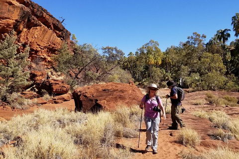 Palm Valley And Hermannsburg 1 Day 4WD Tour - Pubs Sydney 1