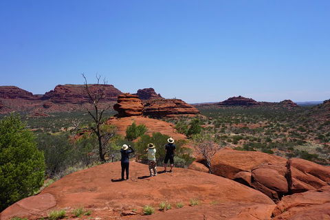 Palm Valley And Hermannsburg 1 Day 4WD Tour - Pubs Sydney 2