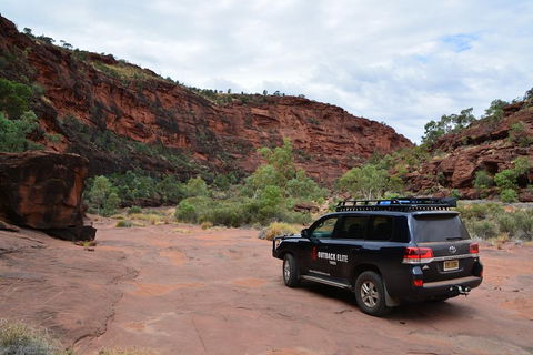 Palm Valley And Hermannsburg 1 Day 4WD Tour - Pubs Sydney 5