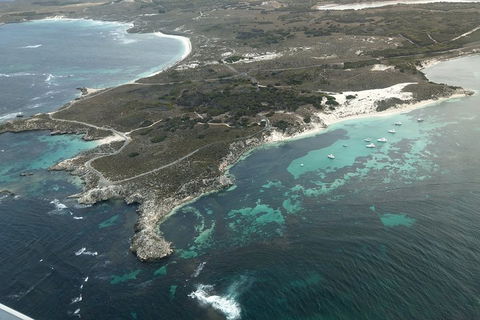 Full Day Tour By Seaplane To Rottnest Island Small Group Trip - Pubs Sydney 5