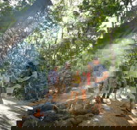 Mossman Gorge Adventure Day - Pubs Sydney