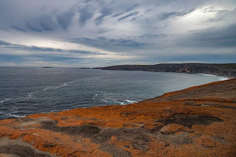 Kangaroo Island Luxury Small Group 'Flinders Chase Focus' Full Day Tour - Pubs Sydney 0