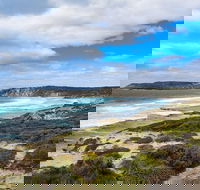 Kangaroo Island Luxury Small Group 'East End Explorer' Full Day Tour - Pubs Sydney