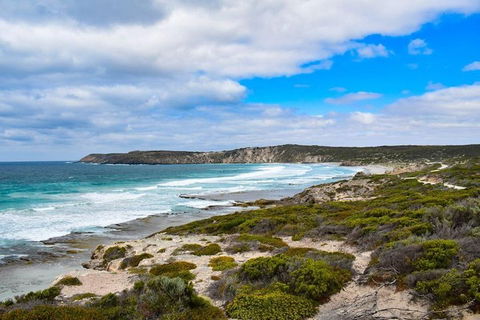 Kangaroo Island Luxury Small Group 'East End Explorer' Full Day Tour - Pubs Sydney 0