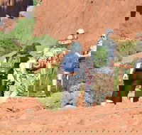 Afternoon Kata Tjuta Small Group Tour - Pubs Sydney