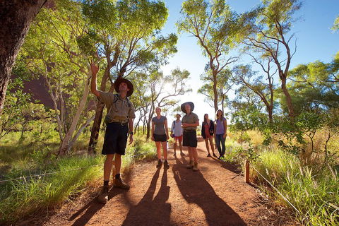 Uluru Small Group Tour Including Sunset - Pubs Sydney 0