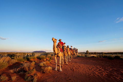 Uluru Small-Group Tour By Camel At Sunrise Or Sunset - Pubs Sydney 3