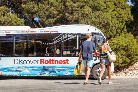 Discover Rottnest With Ferry & Bus Tour From Perth Or Fremantle - Pubs Sydney 1