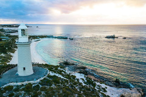 Discover Rottnest With Ferry & Bus Tour From Perth Or Fremantle - Pubs Sydney 2