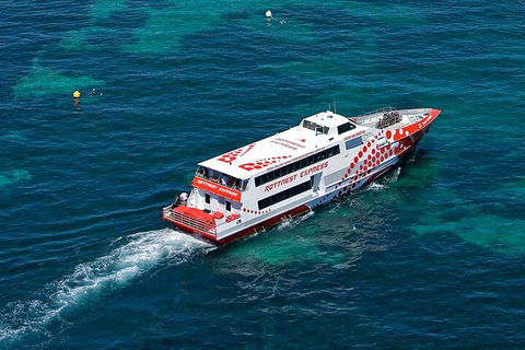 Discover Rottnest With Ferry & Bus Tour From Perth Or Fremantle - Pubs Sydney 3