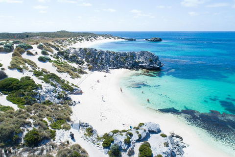 Discover Rottnest With Ferry & Bus Tour From Perth Or Fremantle - Pubs Sydney 5