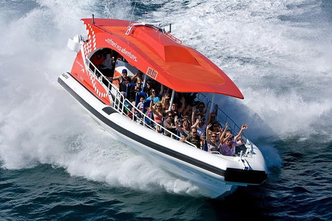 Adventure Rottnest Tour With Ferry & Adventure Cruise From Perth Or Fremantle - Pubs Sydney 2