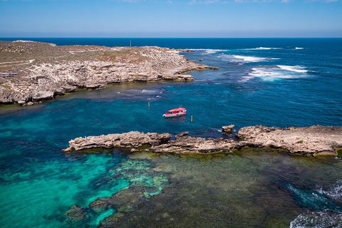 Adventure Rottnest Tour With Ferry & Adventure Cruise From Perth Or Fremantle - Pubs Sydney 3