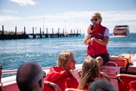 Adventure Rottnest Tour With Ferry & Adventure Cruise From Perth Or Fremantle - Pubs Sydney 4