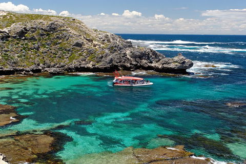 Adventure Rottnest Tour With Ferry & Adventure Cruise From Perth Or Fremantle - Pubs Sydney 5