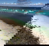 Experience Rottnest with Ferry  Bike Hire from Perth or Fremantle - Pubs Sydney