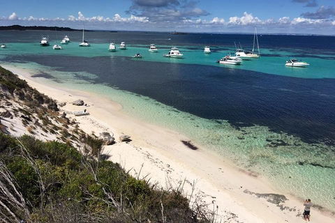Experience Rottnest With Ferry & Bike Hire From Perth Or Fremantle - Pubs Sydney 0