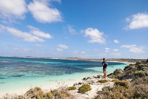 Experience Rottnest With Ferry & Bike Hire From Perth Or Fremantle - Pubs Sydney 3