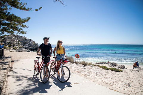 Experience Rottnest With Ferry & Bike Hire From Perth Or Fremantle - Pubs Sydney 4