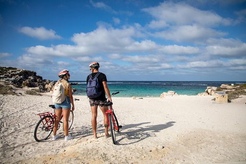 Experience Rottnest With Ferry & Bike Hire From Perth Or Fremantle - Pubs Sydney 5
