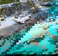 Rottnest Island Round-Trip Ferry from Perth or Fremantle - Pubs Sydney