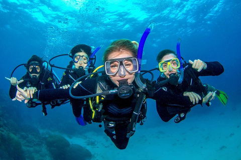 Great Barrier Reef Diving And Snorkeling Cruise From Cairns - Pubs Sydney 0