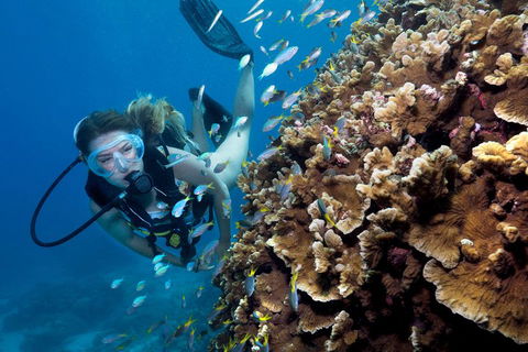 Great Barrier Reef Diving And Snorkeling Cruise From Cairns - Pubs Sydney 1