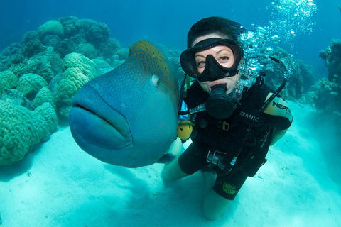 Great Barrier Reef Diving And Snorkeling Cruise From Cairns - Pubs Sydney 2