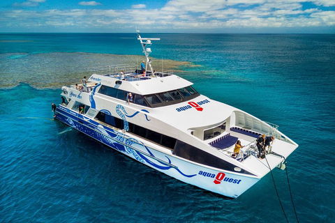 Great Barrier Reef Diving And Snorkeling Cruise From Cairns - Pubs Sydney 5