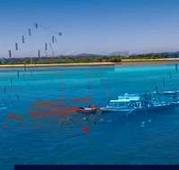Ocean Free Green Island  Great Barrier Reef Snorkel Cruise Cairns 25 guests - Pubs Sydney