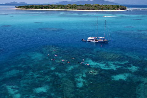 Ocean Free Green Island & Great Barrier Reef Snorkel Cruise, Cairns 25 Guests - Pubs Sydney 2